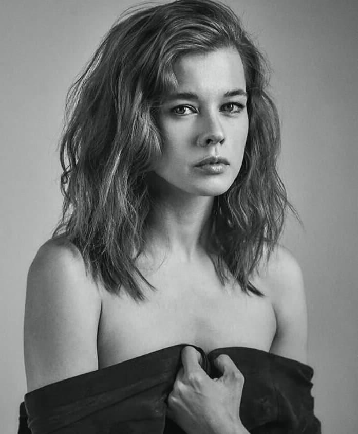 Слив Катерина Шпица